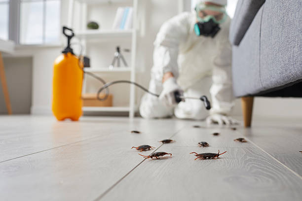 Trusted Termite Control service in Waynesville, NC - Nex Pest Control